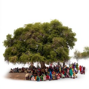 Amazon Sustainable Development Economics Kindle Edition 438‑Page eBook-0